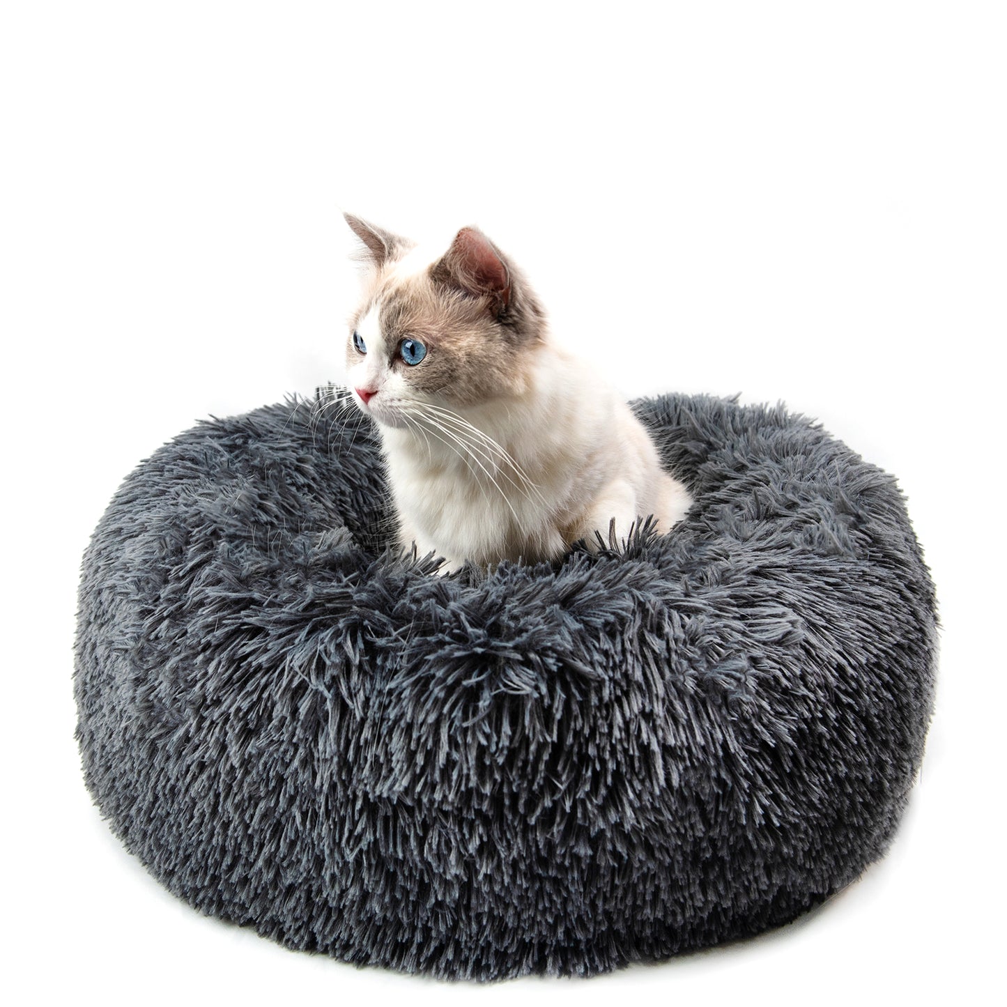 Cozy Round Plush Dog Bed – Soft, Washable & Perfect for Small Dogs