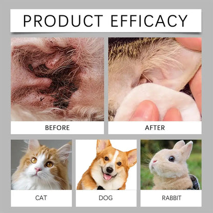 Pet Ear Cleaner Drops for Dogs & Cats Earwax Odor & Itch Care