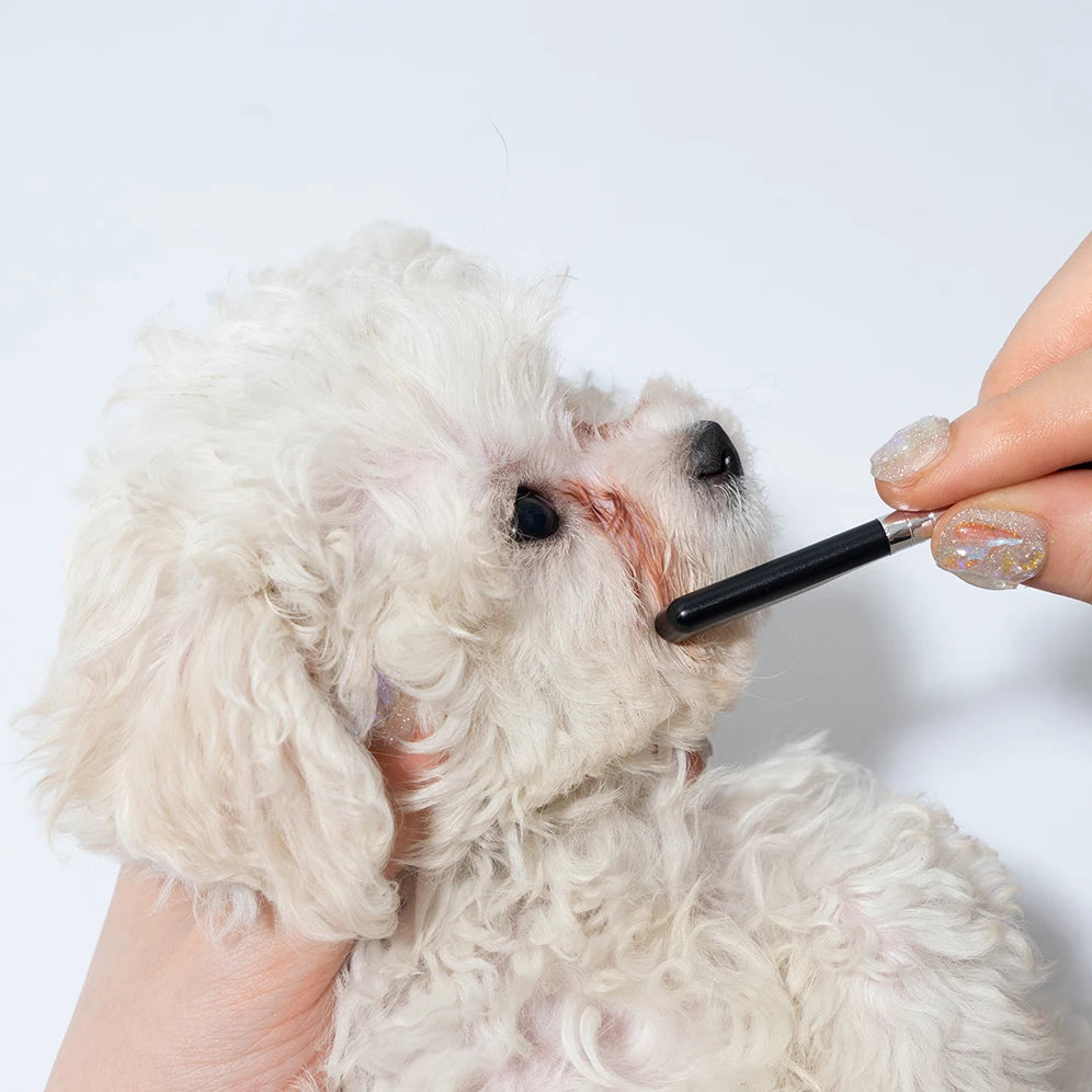 Pet Facial Cleaning Comb Set for Dogs & Cats Tear Stain Grooming