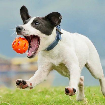 Dog Chew Ball Interactive Hollow Elastic Training Toy for Dogs & Puppies