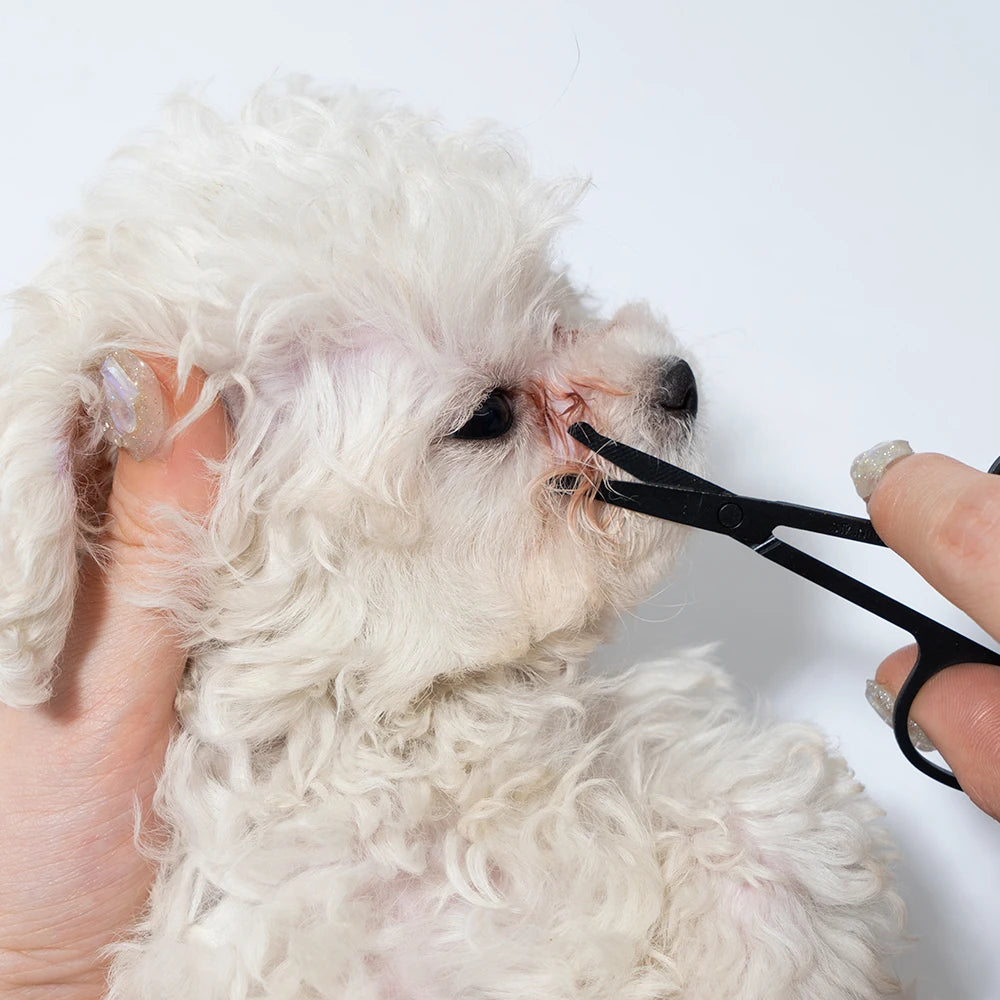 Pet Facial Cleaning Comb Set for Dogs & Cats Tear Stain Grooming