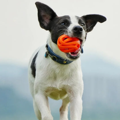 Dog Chew Ball Interactive Hollow Elastic Training Toy for Dogs & Puppies
