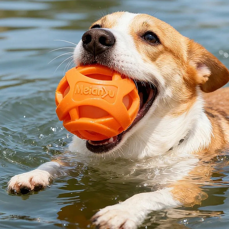 Dog Chew Ball Interactive Hollow Elastic Training Toy for Dogs & Puppies