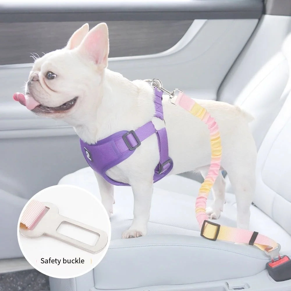 Dog Car Seat Belt Safety Harness for Small Medium Dogs & Cats