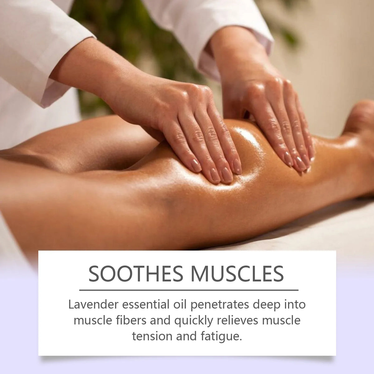 Lavender Essential Oil Aromatherapy Massage Relaxing Body Care